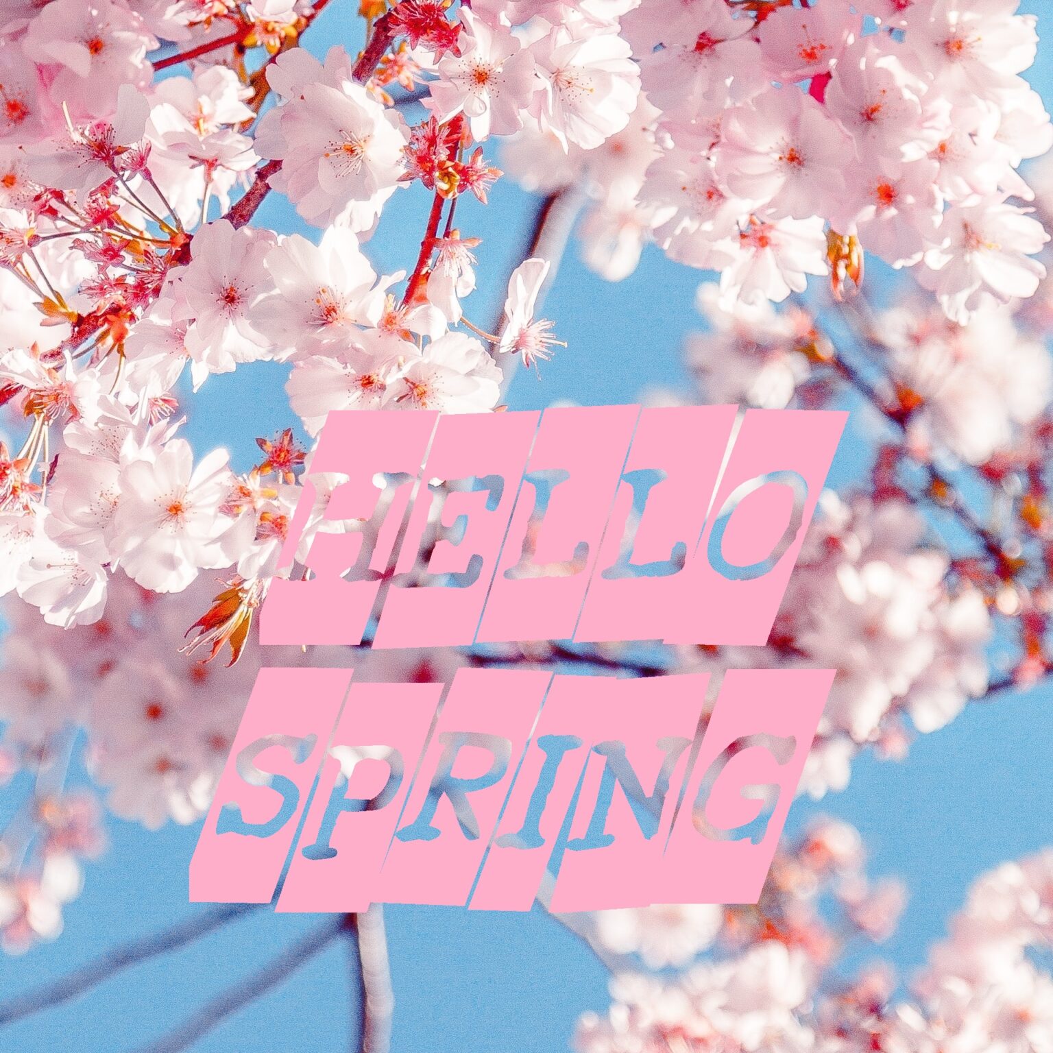 Hello Spring Flower image Free Download – Printable Calendars Free