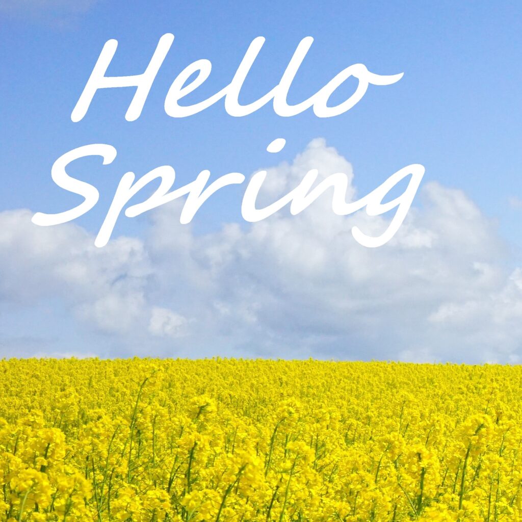 Hello Spring Flowers image Free Download